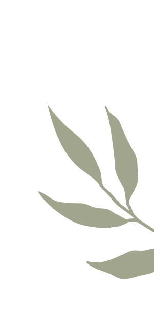 Minimalist leaf silhouette on black background.