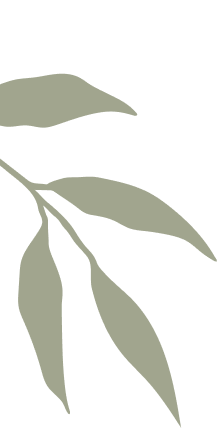 Minimalist grey leaves on black background.